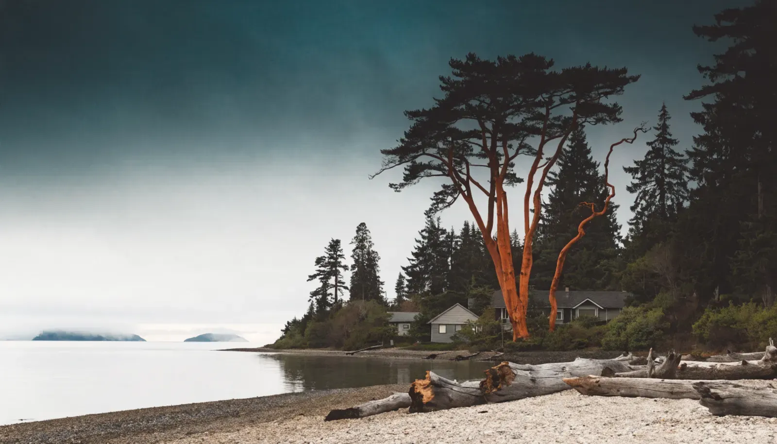 Older waterfront homes among madrona and fir on the Salish Sea shoreline, Whatcom County, Washington